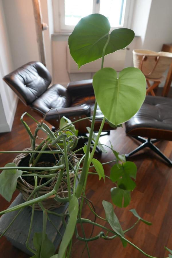 The Sunshine Loft Appartement Livorno Buitenkant foto